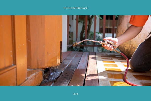 PEST CONTROL Loris